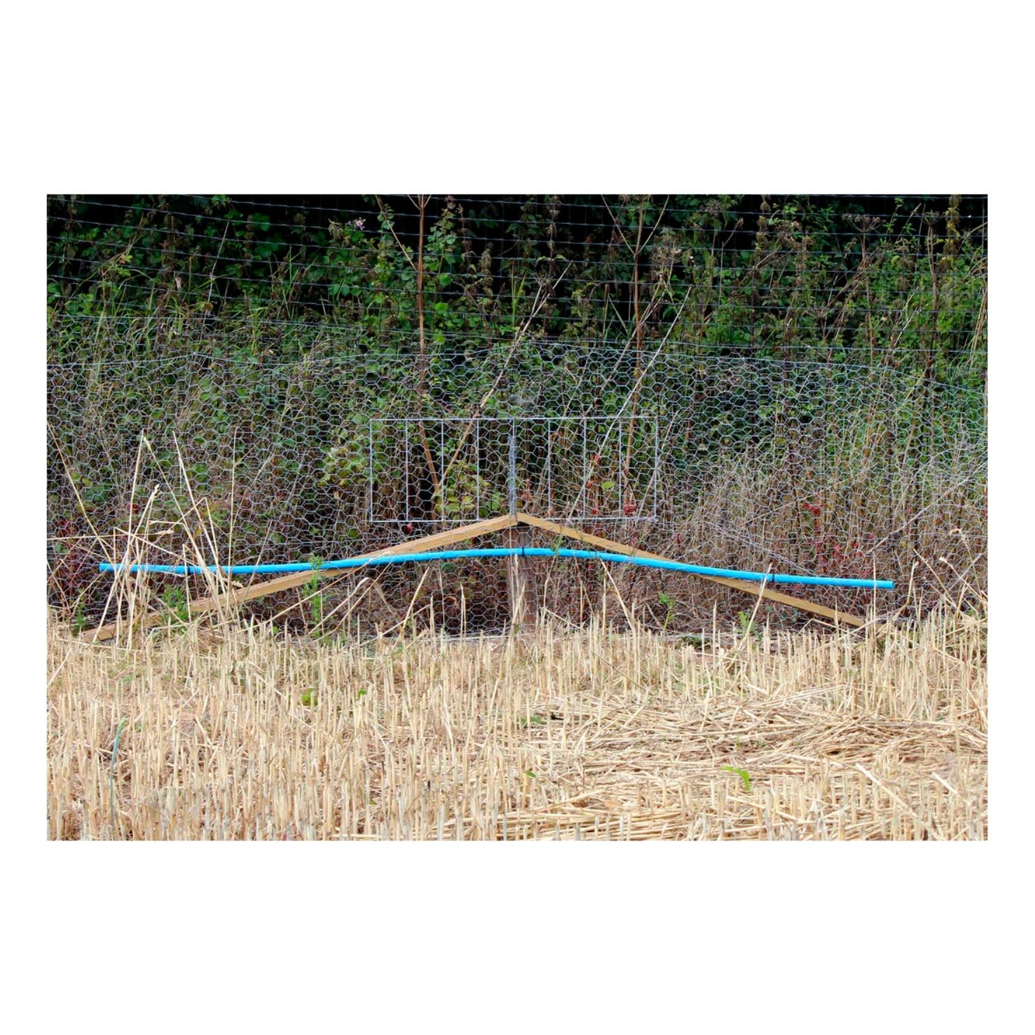 Fox Grid Pheasant Pop Hole