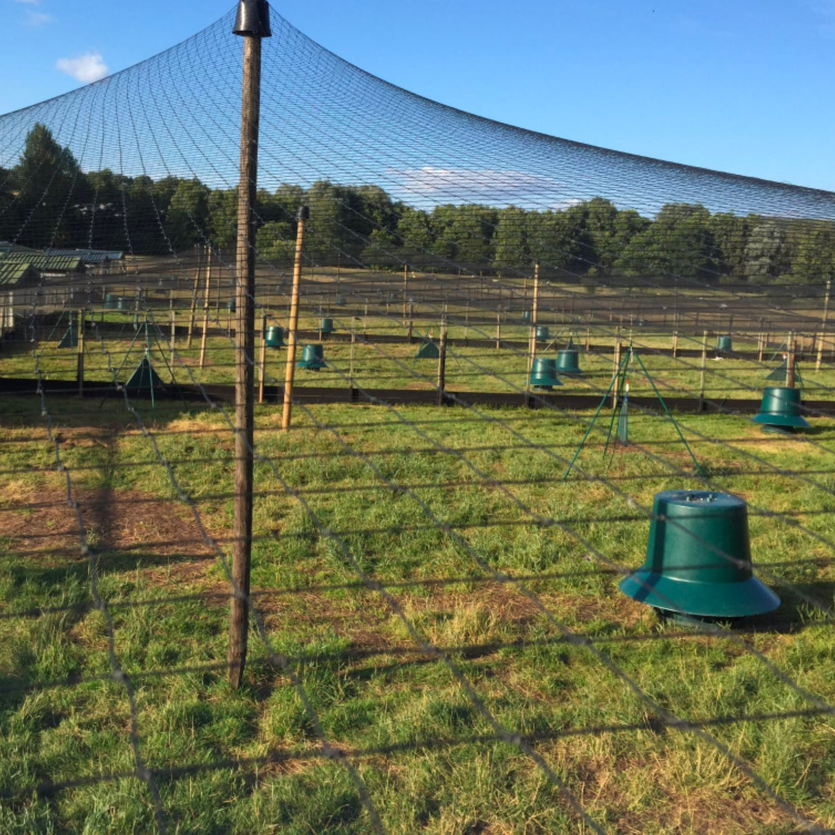 Square Knotted Bird Netting 38mm (1 ½")