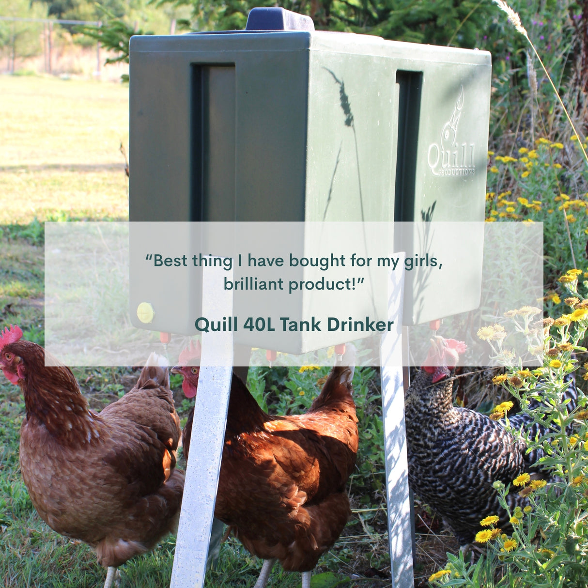 Quill 40L Tank Drinker