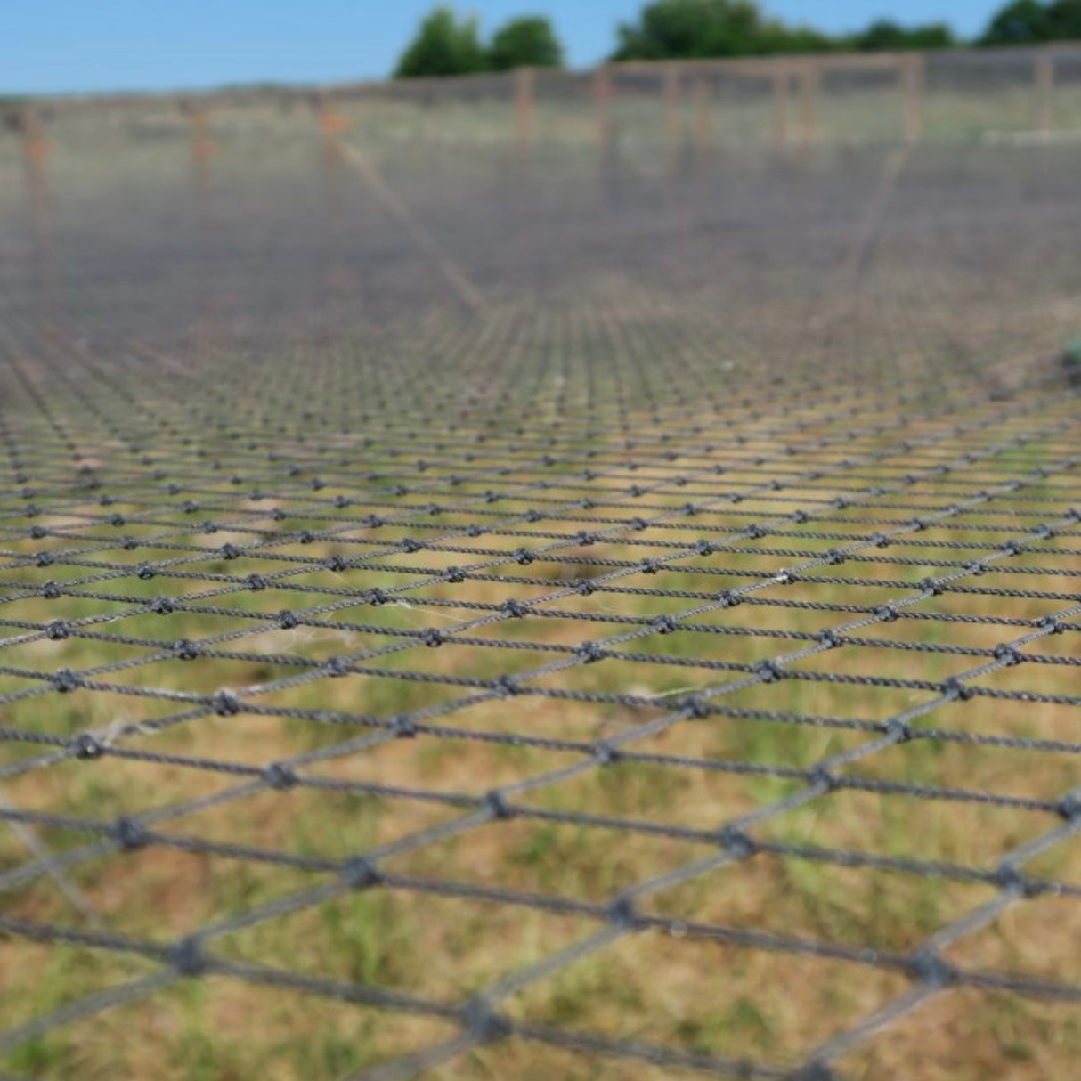 Square Knotted Bird Netting 38mm (1 ½")