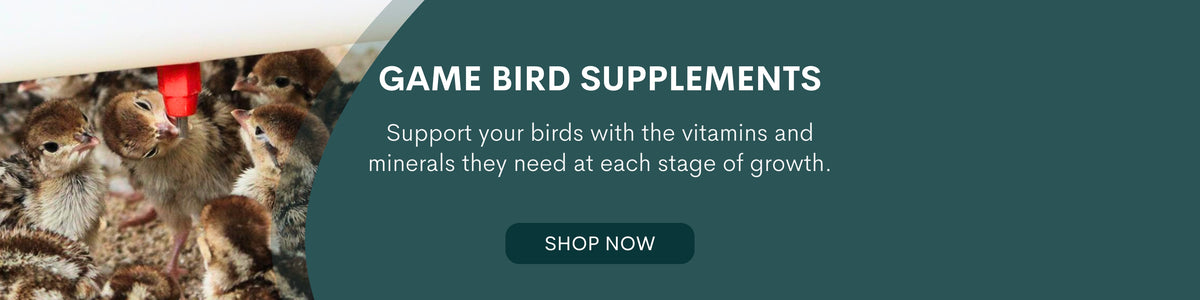 Quill Productions Dairy Milking Equipment Ambic Flowfilter Set of