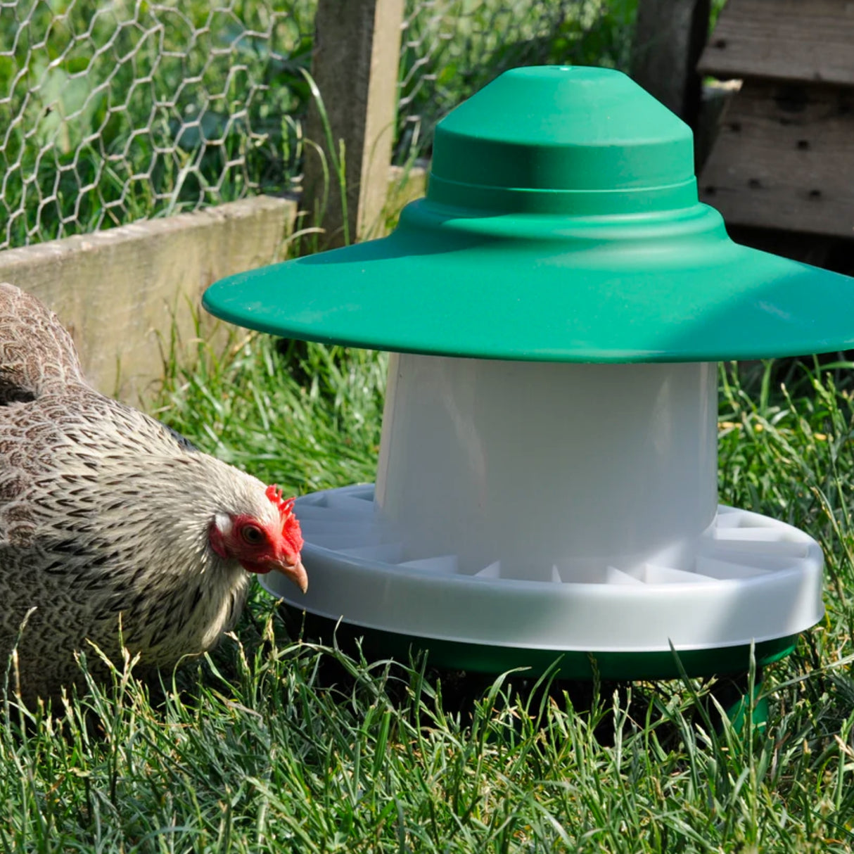 Ascot 3kg Outdoor Poultry Feeder