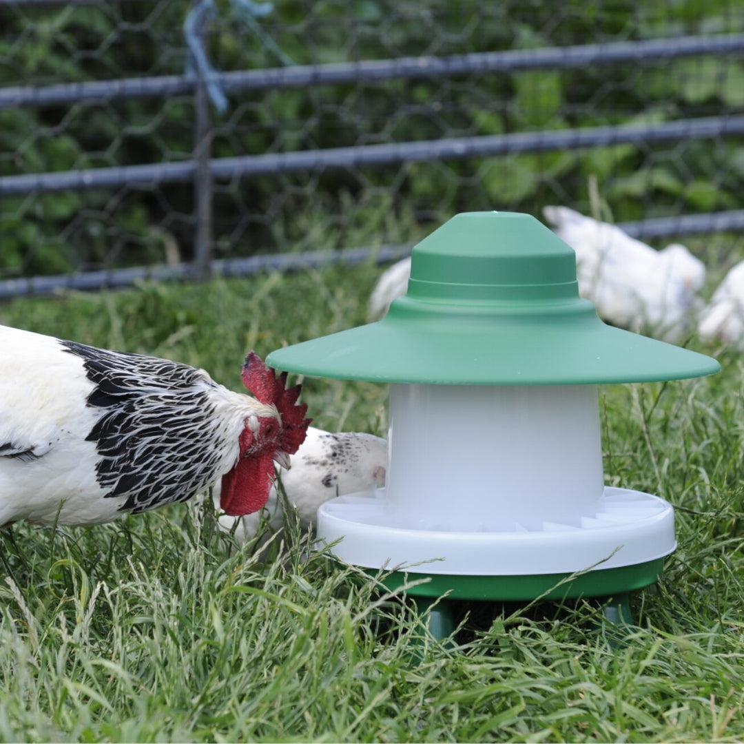A green and white poultry feeder with a cone-shaped roof is shown on grass in a farm setting, with a black-and-white chicken pecking near it and other chickens blurred in the background.