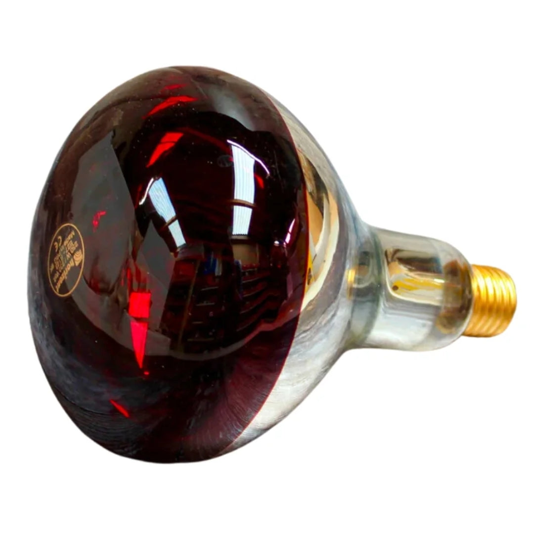 Infra-Red Bulb 225W