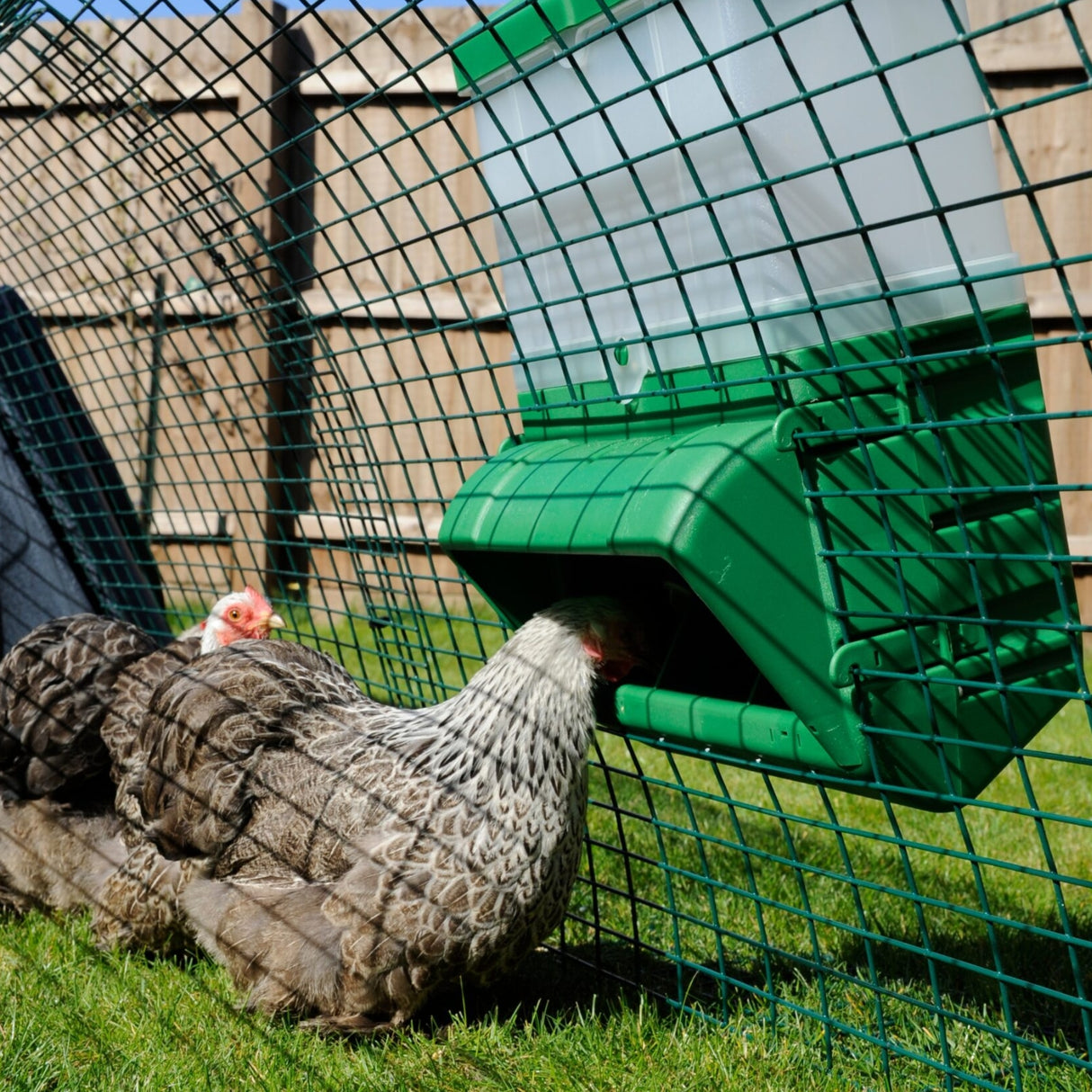 Mountable Cage Wall Feeder