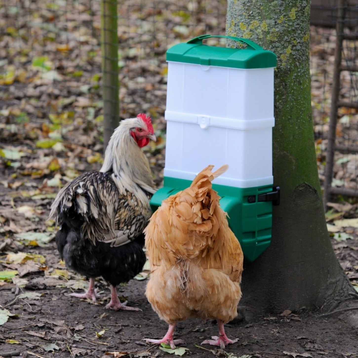 Mountable Cage Wall Feeder