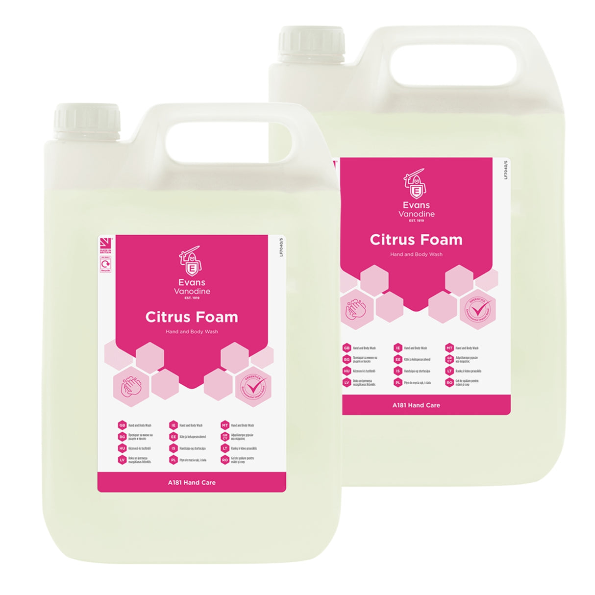 Evans Citrus Foam Hand and Body Wash 2 x 5 Litre