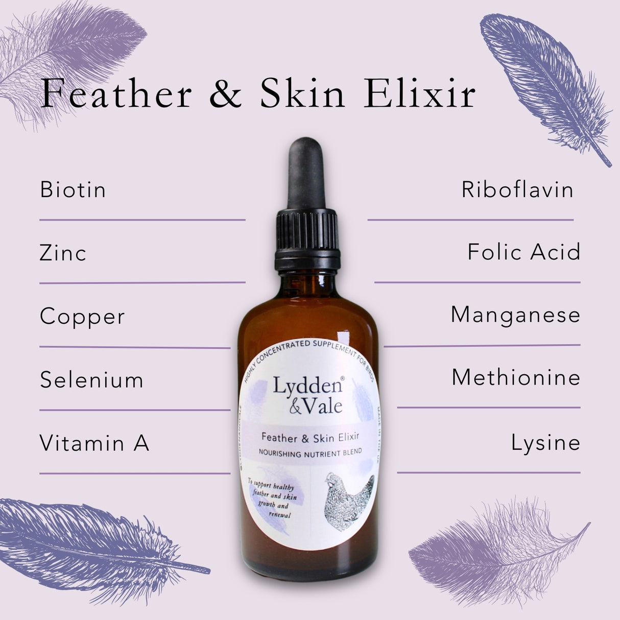 Feather & Skin Elixir