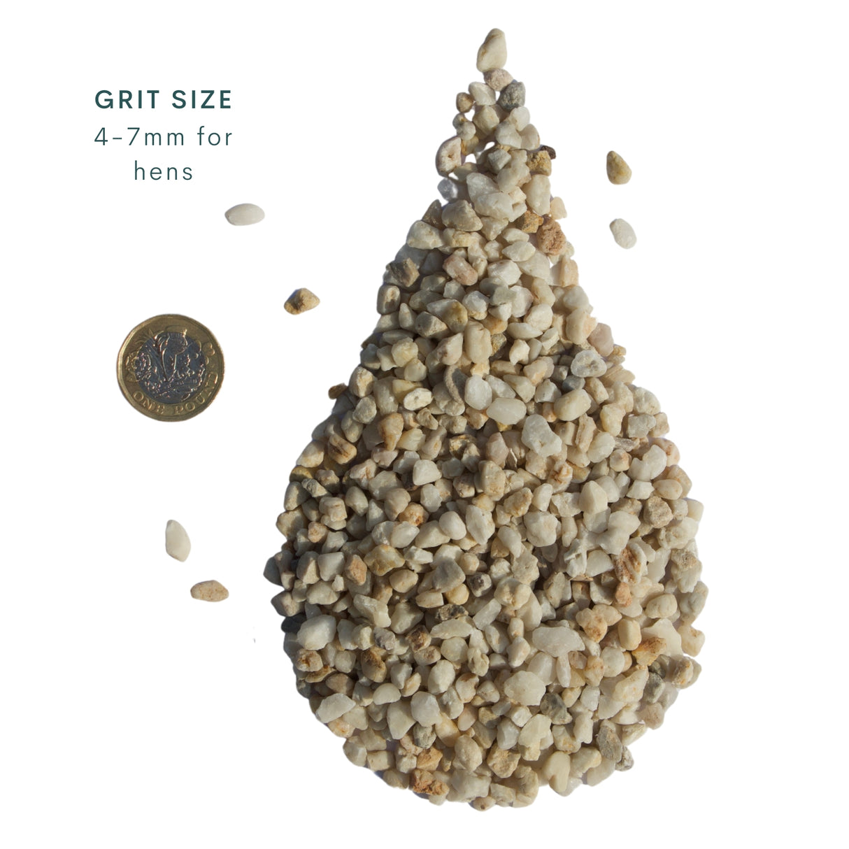 Quill Hen Flint Grit