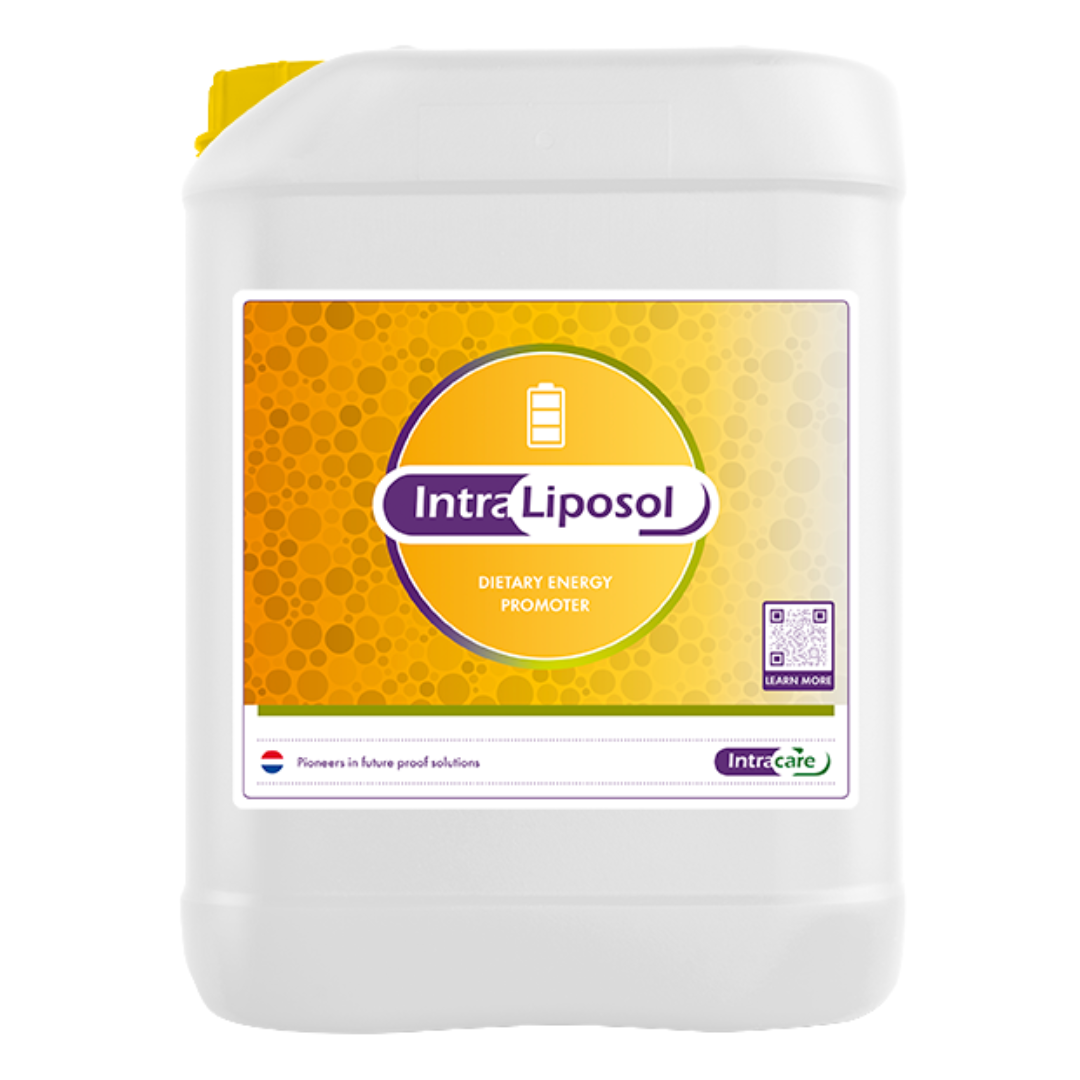 Intra Liposol