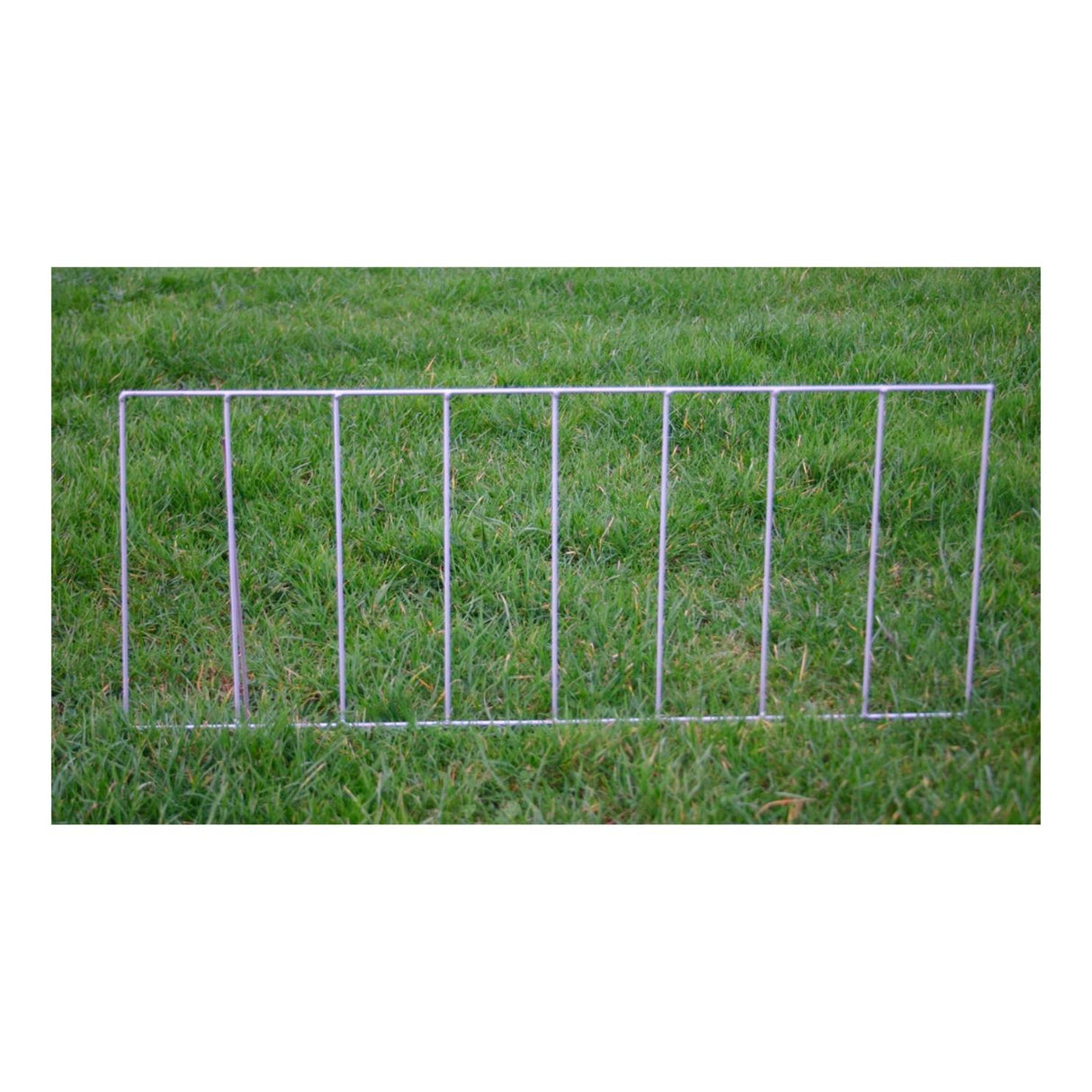 Fox Grid Pheasant Pop Hole