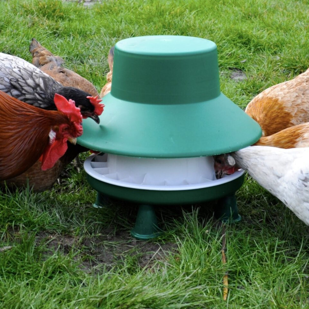 Blenheim 6kg Outdoor Poultry Feeder
