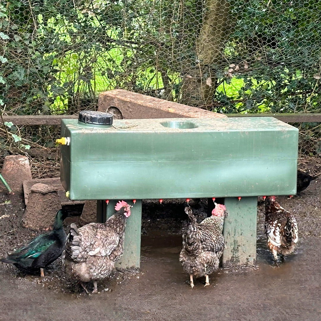 Quill Adjustable Tank Drinker