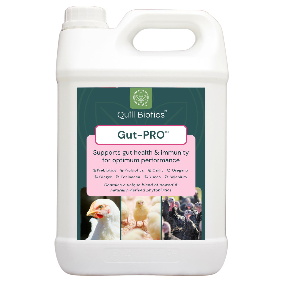Quill Gut-PRO™ | 1L, 5L & 20L