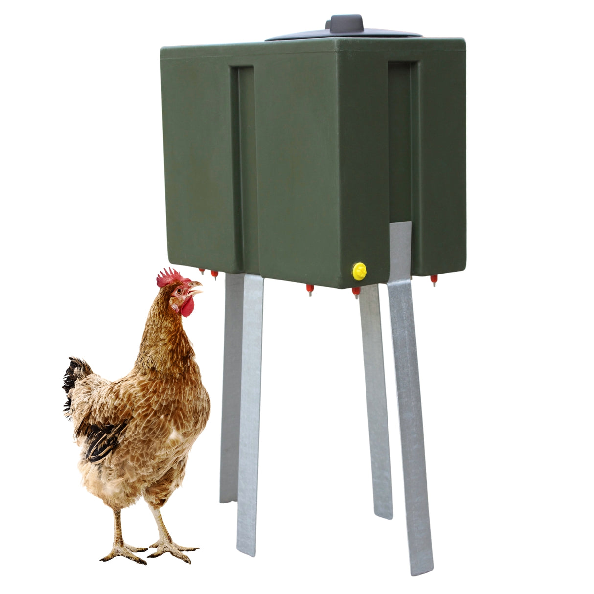 Quill 40L Tank Drinker