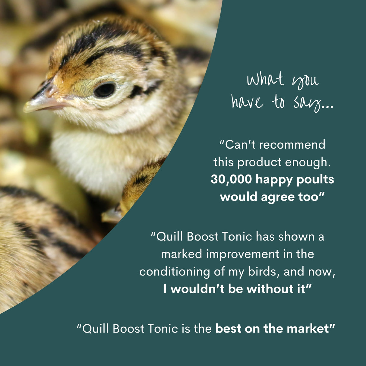 Quill Boost Tonic | 1L & 5L