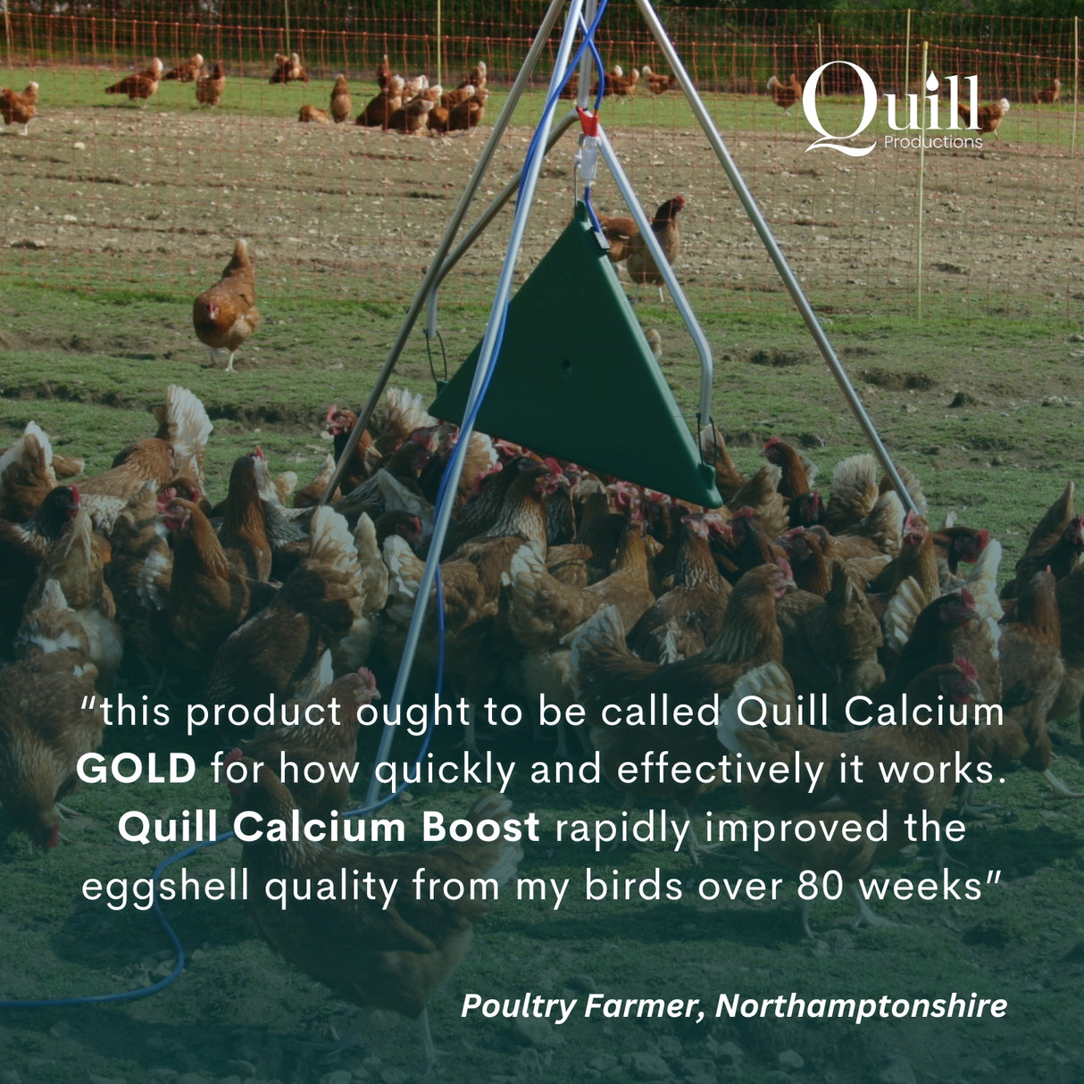 Quill Calcium Boost | 1L, 20L & 200L
