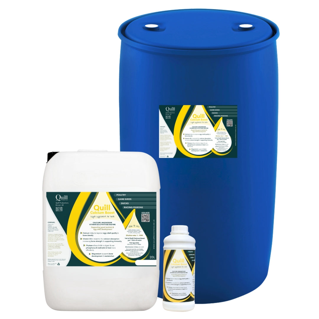 Set of Quill product containers including a blue drum, white canister, and small bottle on a white background.