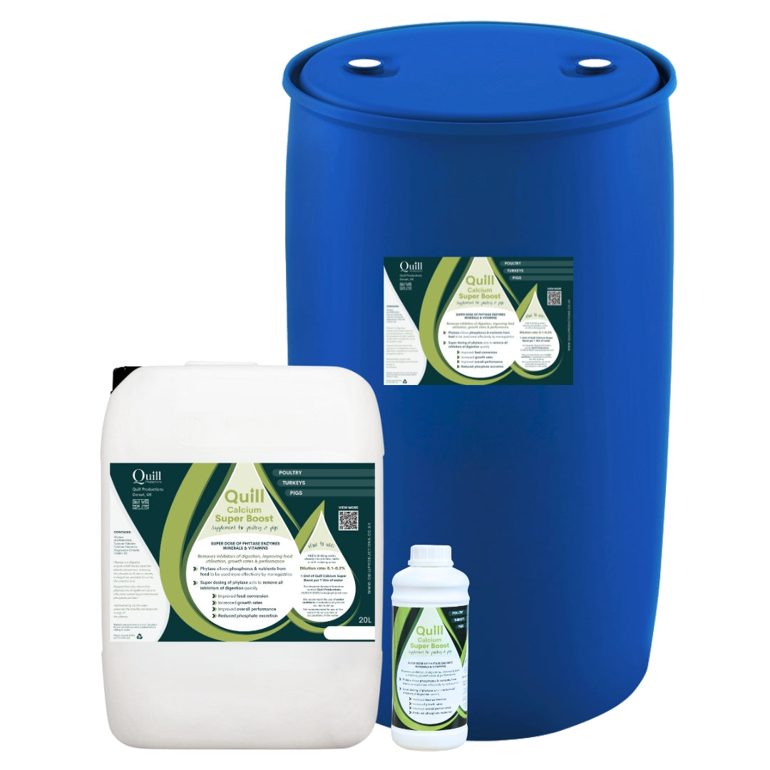 Quili product packaging including a blue drum, white container, and small bottle on a white background.