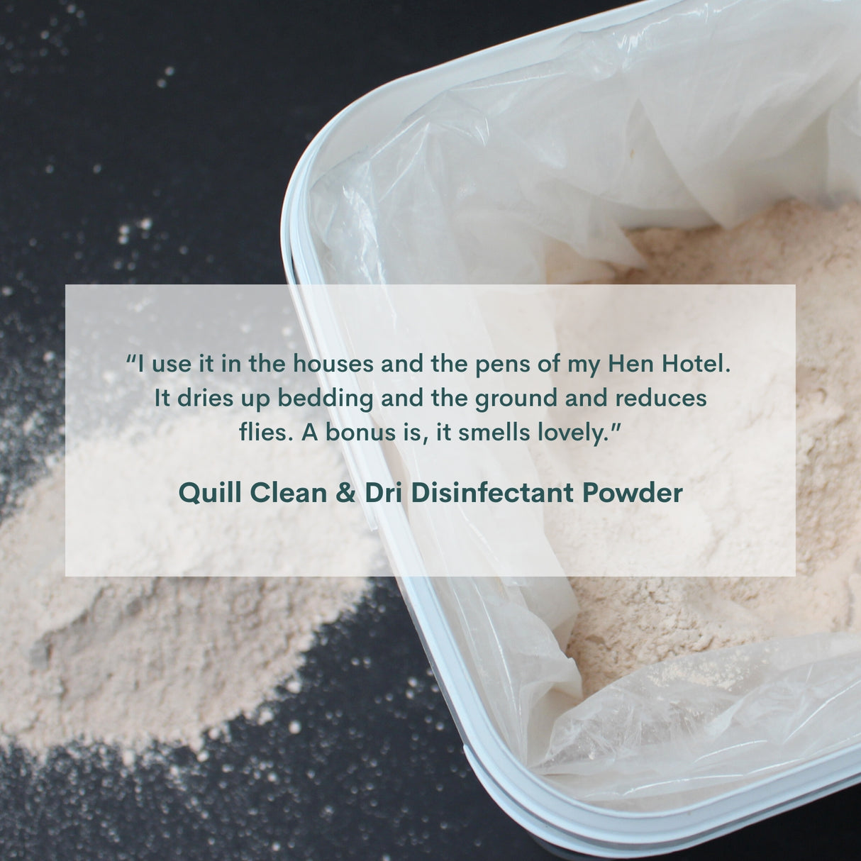 Quill Clean & Dri Disinfectant Powder 25kg