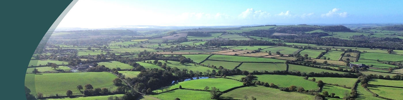 Wide view of rolling green countryside and fields under a clear sky