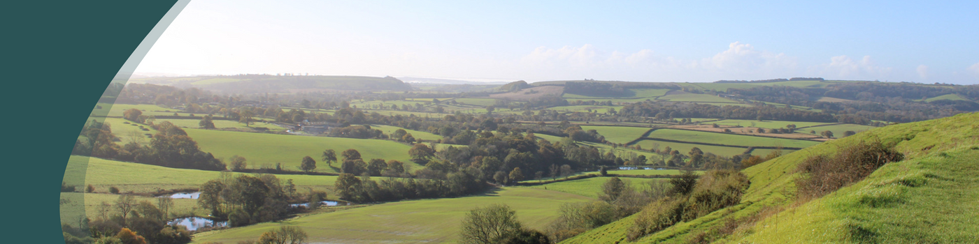 Wide view of rolling green countryside and fields under a clear sky