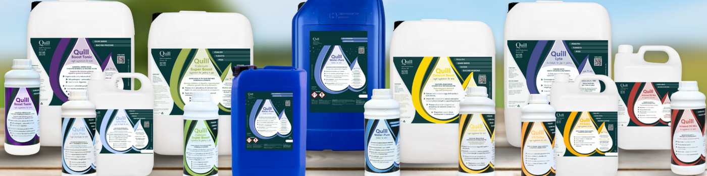 Quill animal nutrition supplements and tonic products displayed in various bottle and container sizes