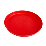 Red Chick Feed Tray