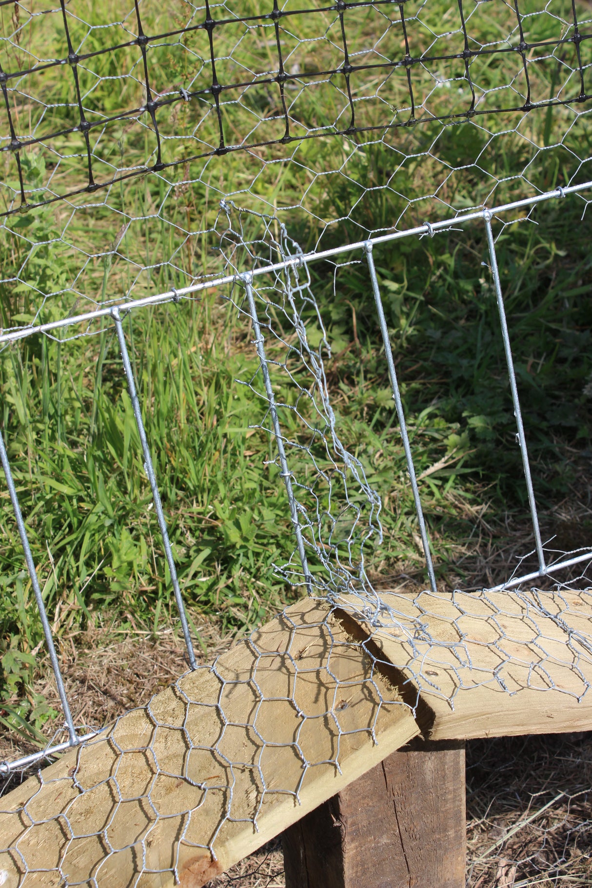 Fox Grid Pheasant Pop Hole