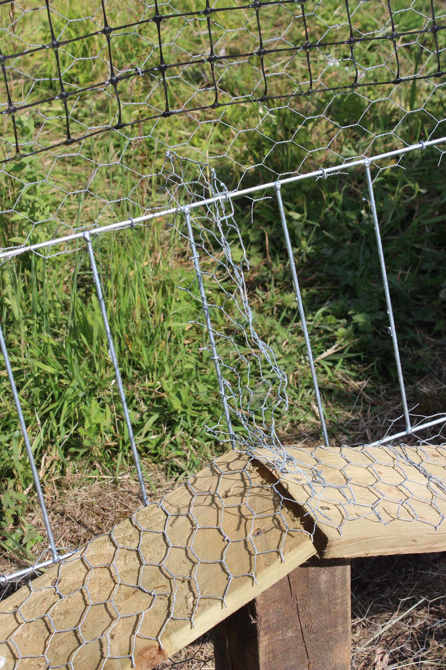 Fox Grid Pheasant Pop Hole