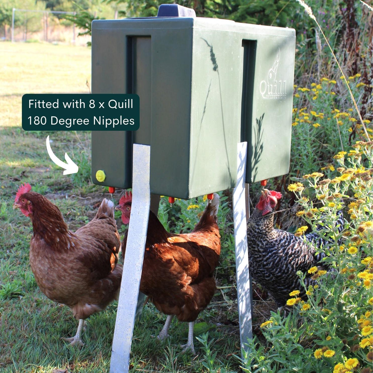 Quill 40L Tank Drinker