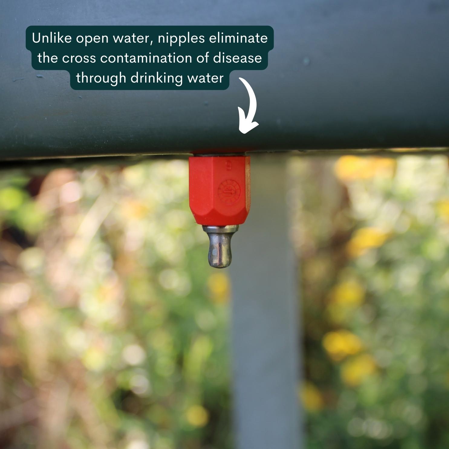 Quill 40L Tank Drinker