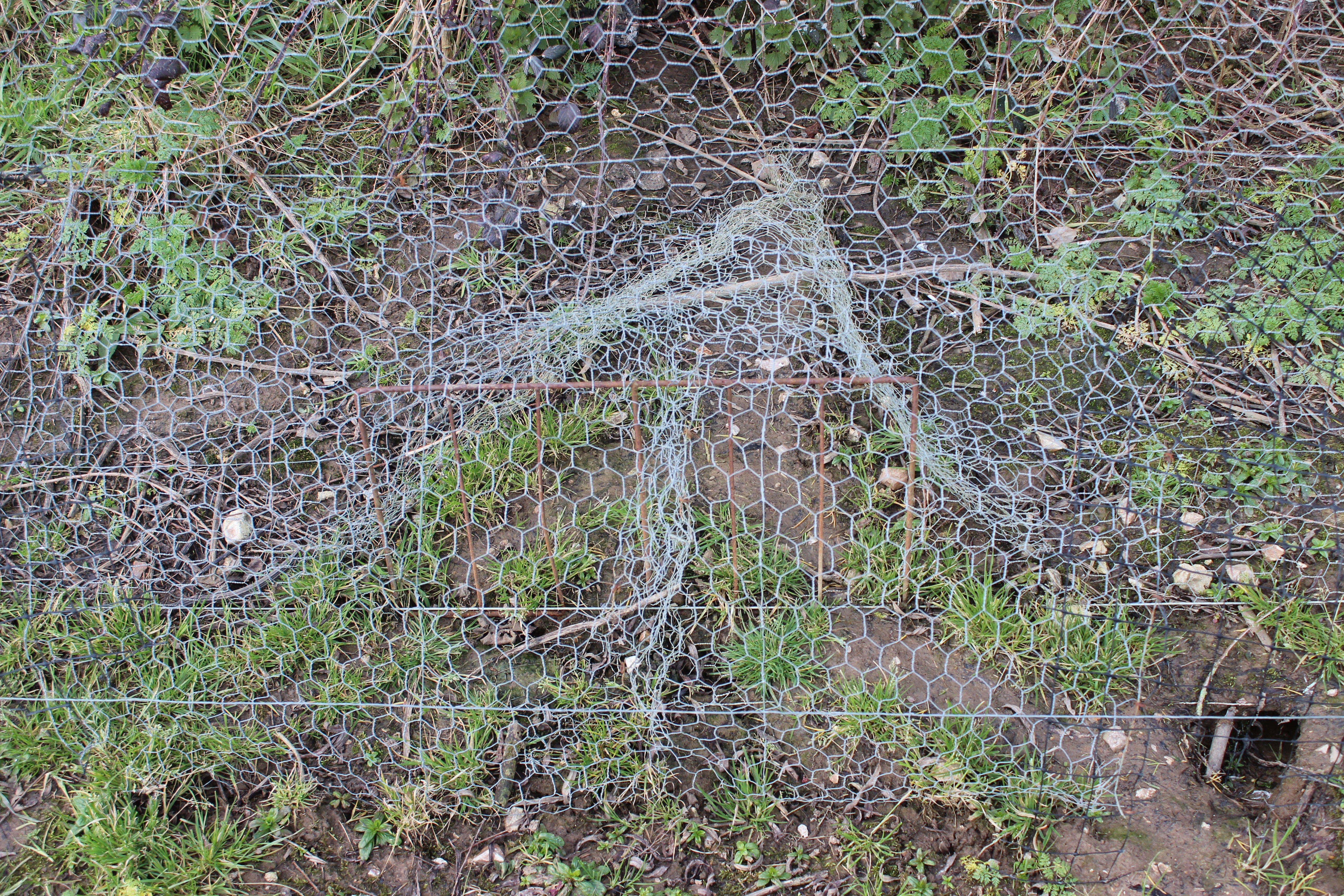 Galvanised Wire