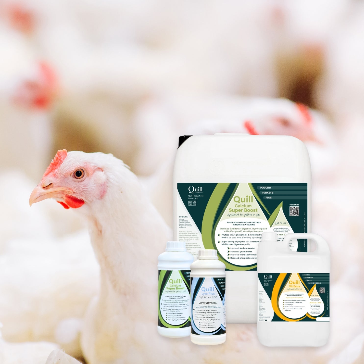 Poultry Vitamins & Supplements