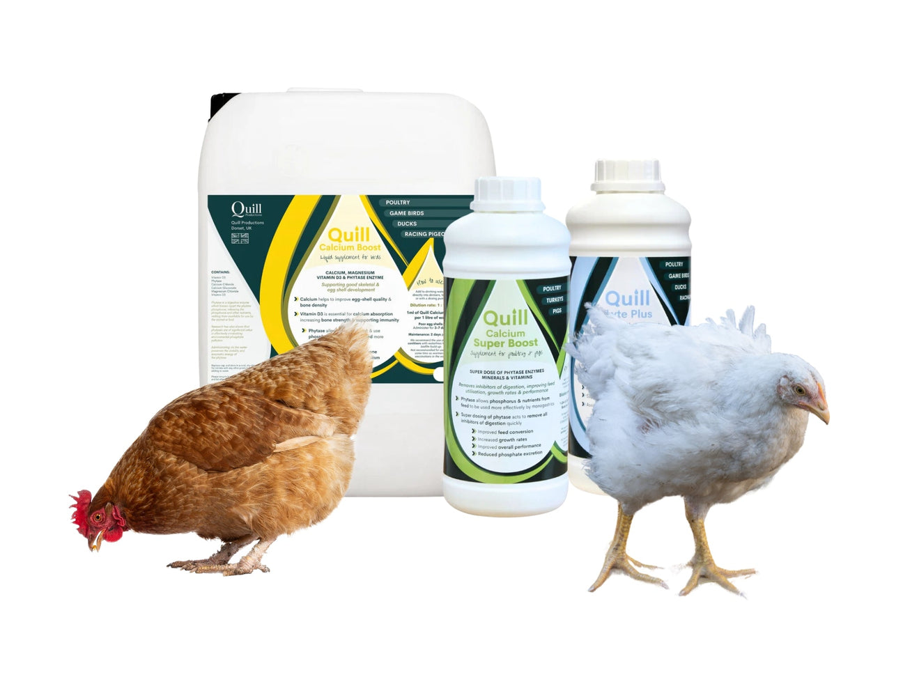 Poultry Vitamins & Supplements