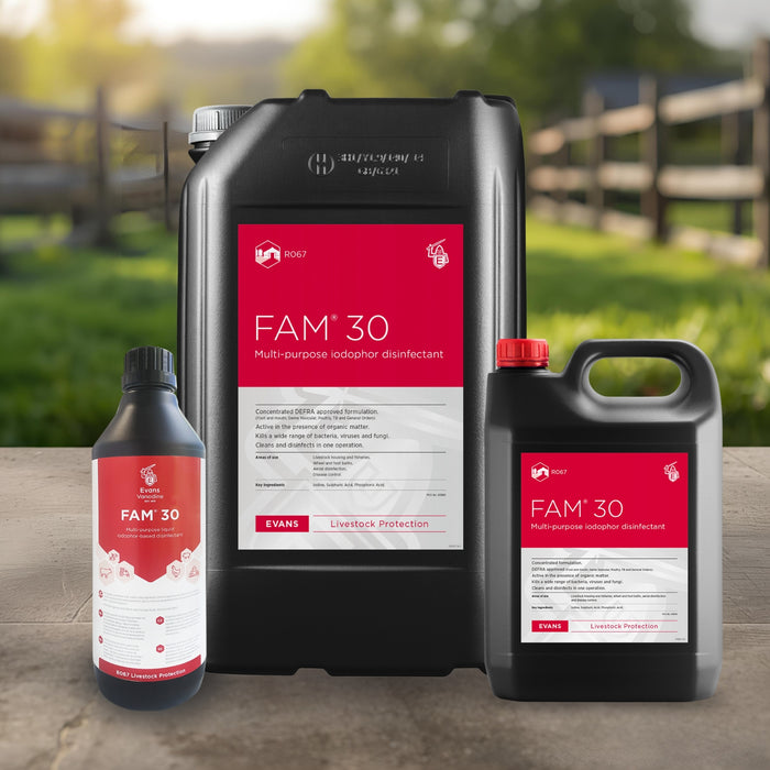 Fam 30 multi purpose disinfectant