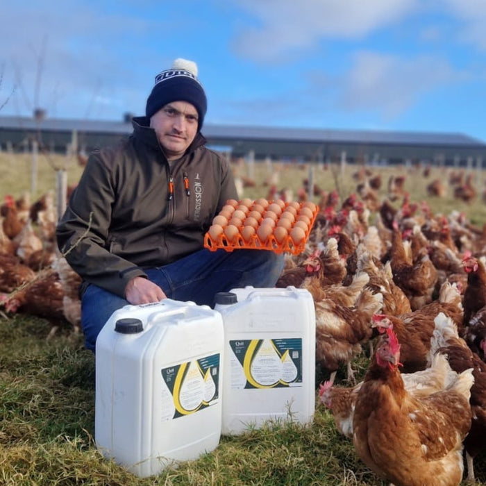 Man holding a tray of eggs surrounded by chickens on a farm