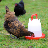 3 Litre Combo Drinker