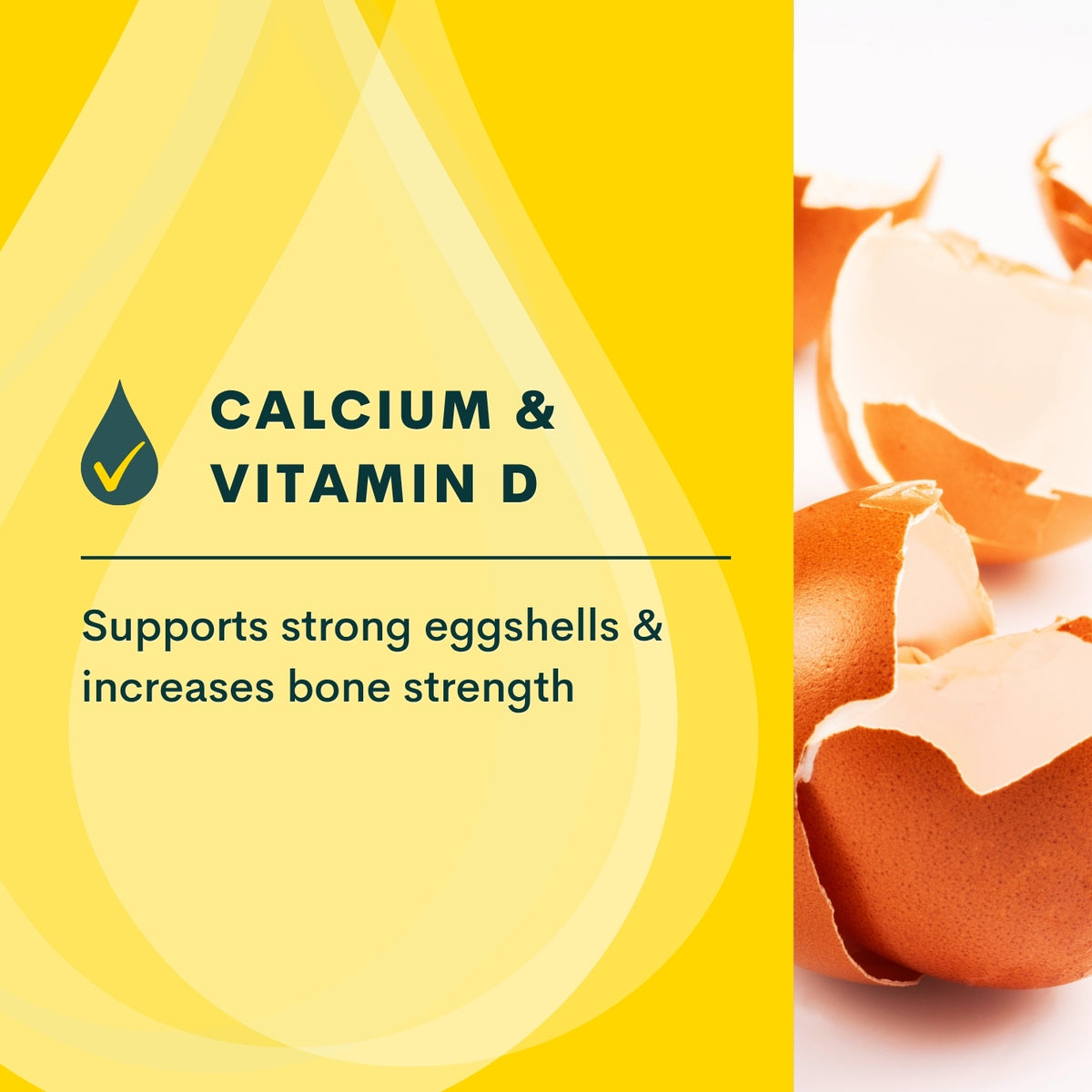 Quill Calcium Boost | 1L, 20L & 200L
