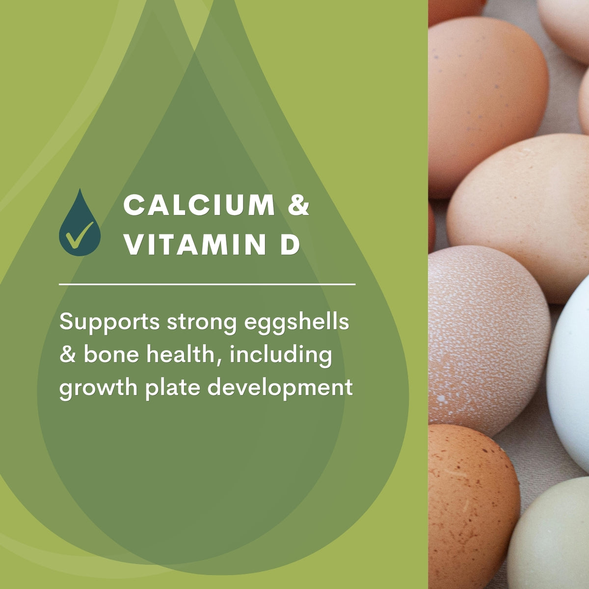 Quill Calcium Super Boost | 1L, 20L & 200L