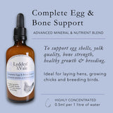 Complete Egg & Bone Support