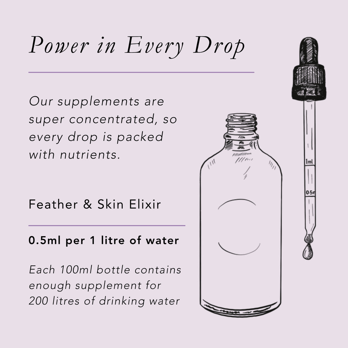 Feather & Skin Elixir