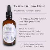 Feather & Skin Elixir