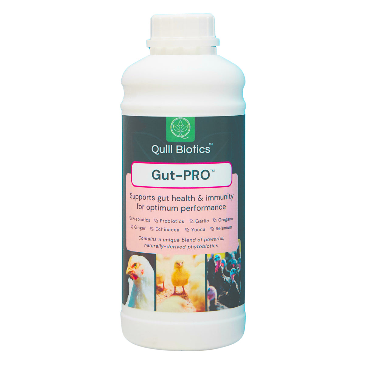 Quill Gut-PRO™ | 1L, 5L & 20L