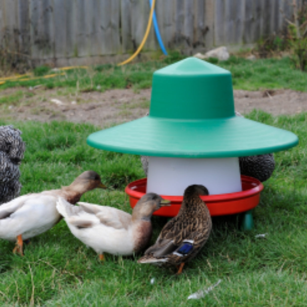 Handy Feeder 12kg