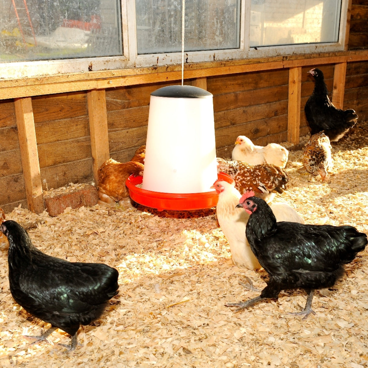 Handy Feeder 12kg