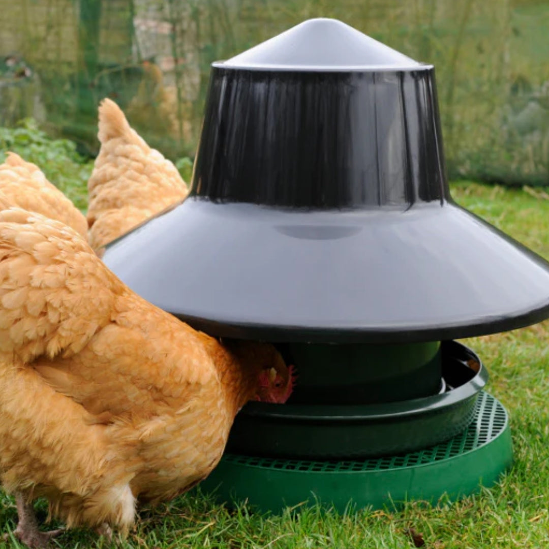 Outdoor King Feeder