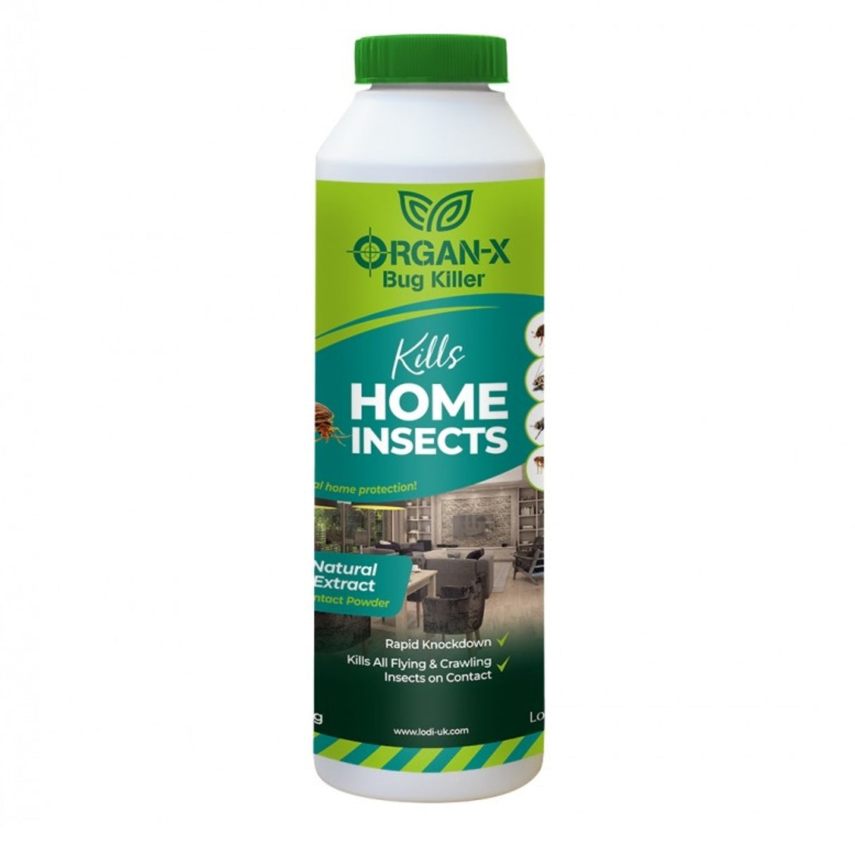 Organ-X Home Insects Killing Powder