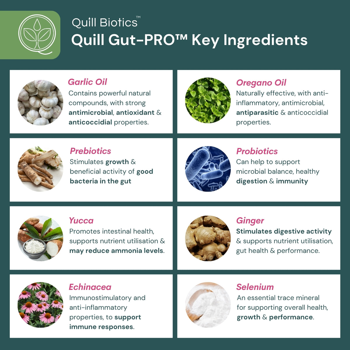 Quill Gut-PRO™ | 1L, 5L & 20L