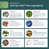Quill Gut-PRO™ | 1L, 5L & 20L